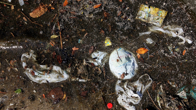 Illustration for article titled Shocking Photos from the Water Sports Site of the Rio Olympics